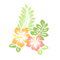 Tropical Hibiscus